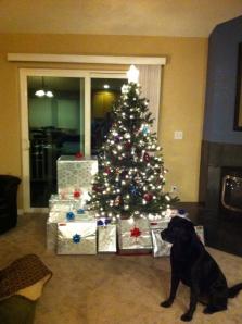 Our 2012 Christmas Tree