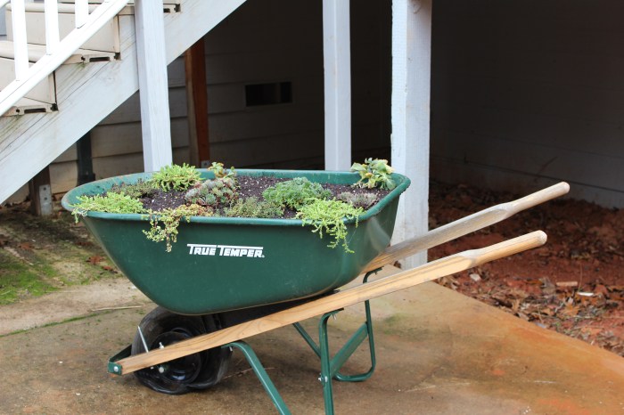 Wheelbarrow Planter