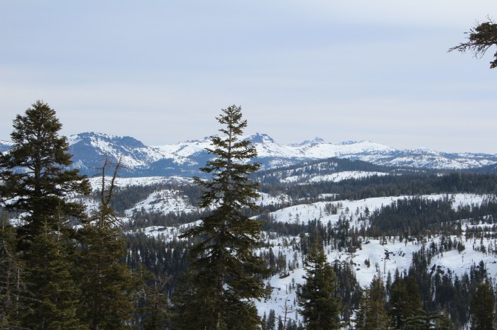 The View From The Top