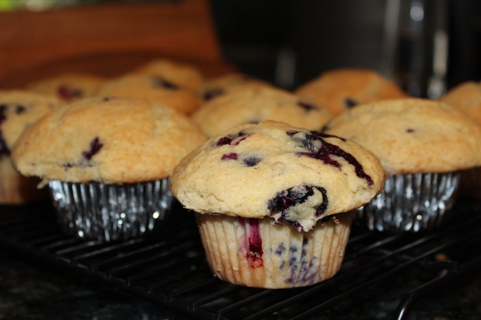 Blueberry Muffins