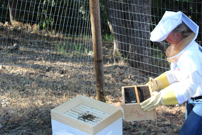 Introducing The Queen To Her Subjects