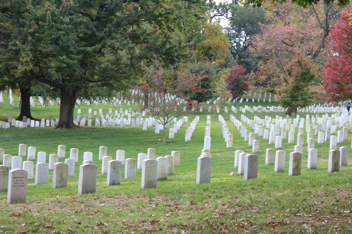Arlington National Cemetery