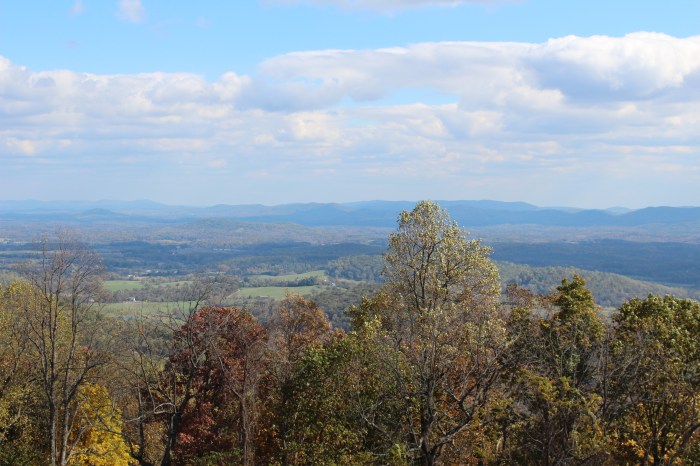 Blue Ridge Views