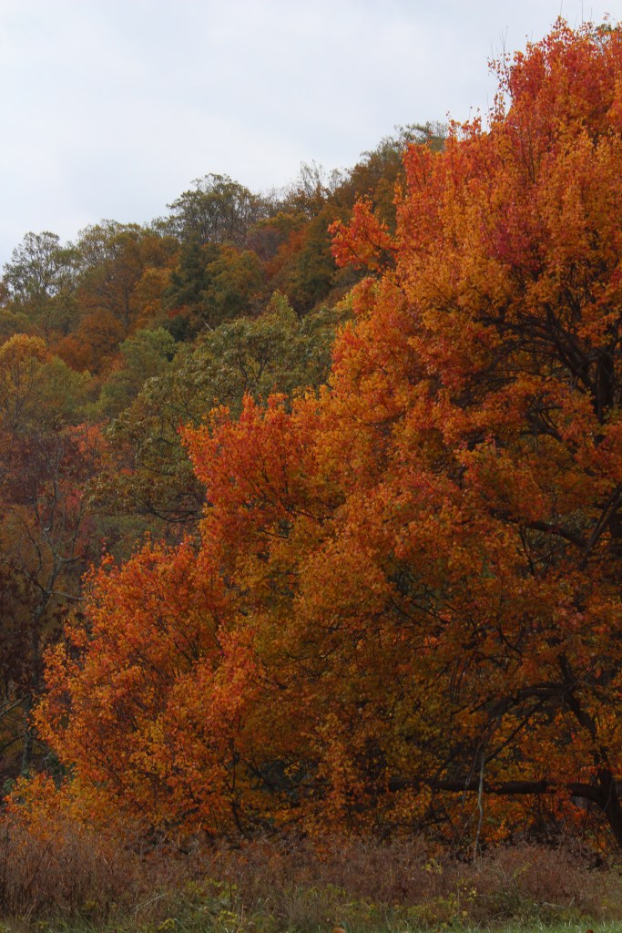 Fall On The Blue Ridge Parkway