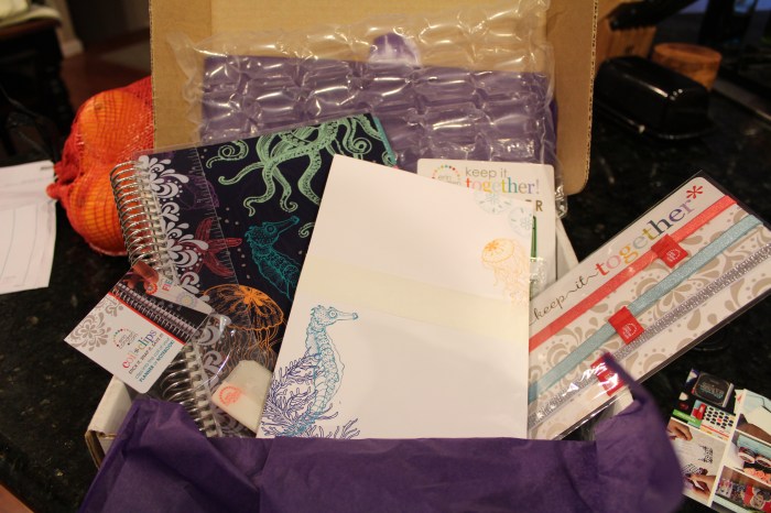 The Opening of the Box