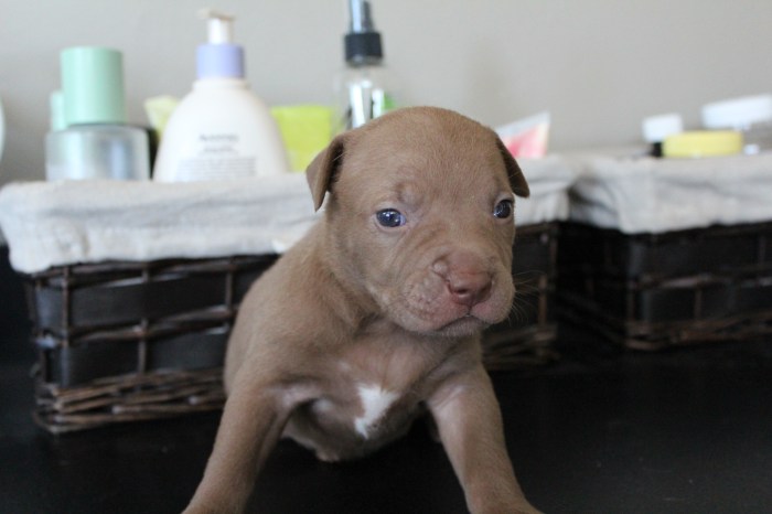 Zeva 3 Weeks 6-28-17